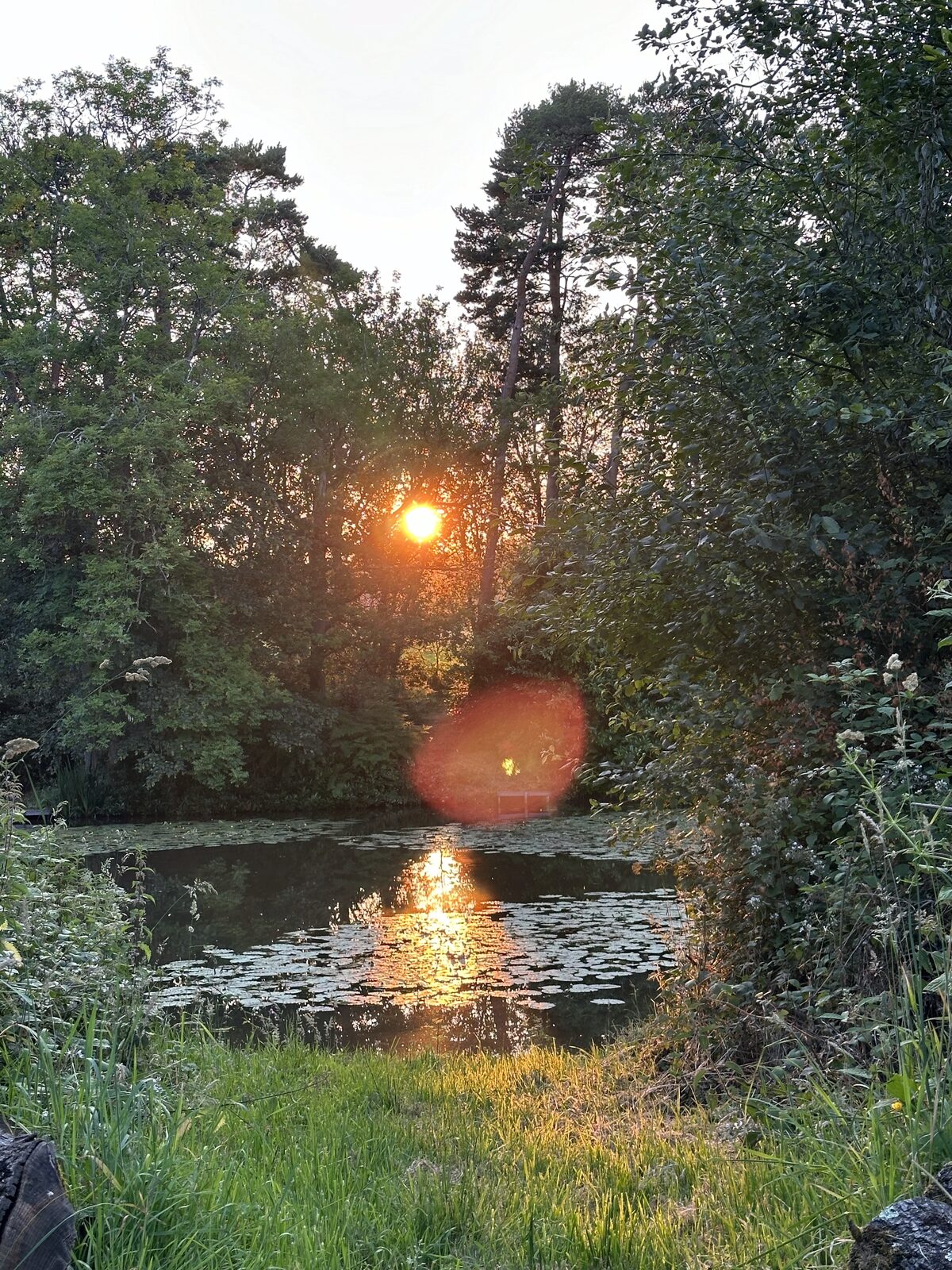A wide-angle cinematic frame of Bay Pond Shaw's hammer pond at dawn, with mist rising from the water surface, ancient woodland banking the far shore, and complete absence of contemporary infrastructure in any direction.