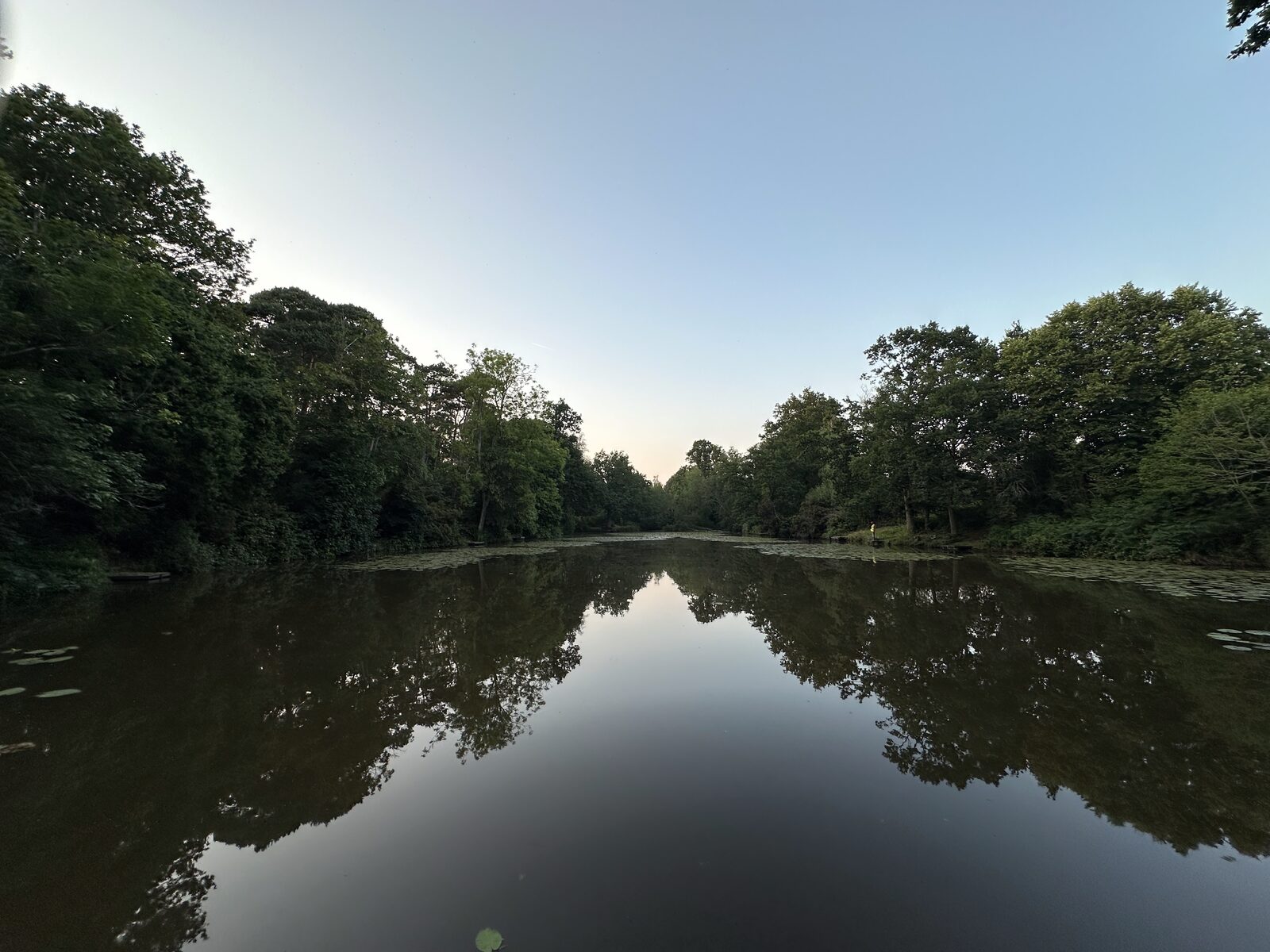 Bay Pond Shaw at first light — the open water stretching towards the dam, lily pads still in the early morning calm.