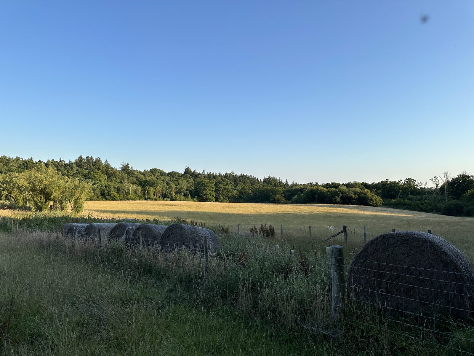 Hay bales at Bay Pond Shaw at golden hour — the working farm landscape of the estate at the end of a summer day.