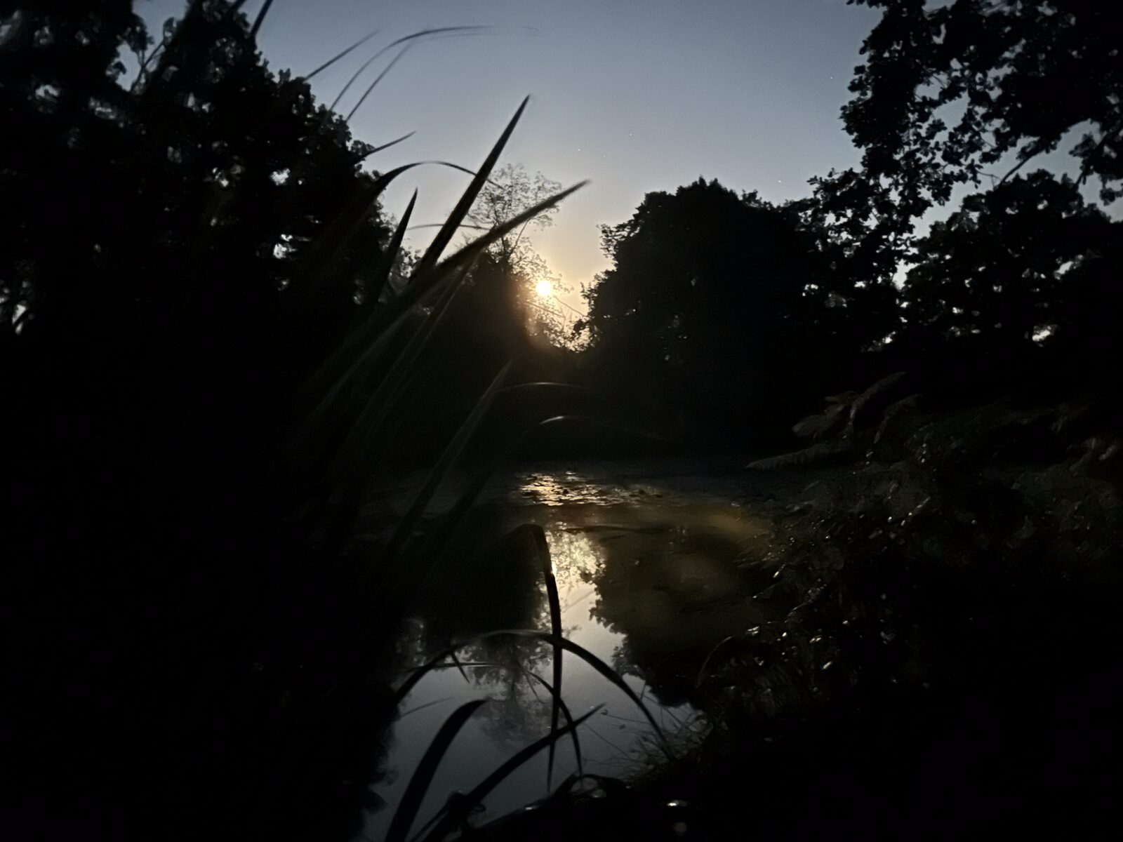 Dawn breaking at Bay Pond Shaw — the transition from night to first light on the ancient hammer pond in the hour before sunrise.