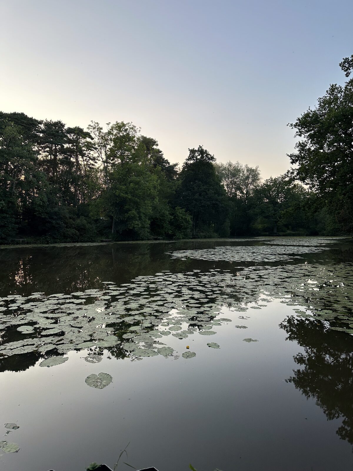 The hammer pond at Bay Pond Shaw as last light fades — the lake surface reflecting what remains of the sky in the minutes before dark.