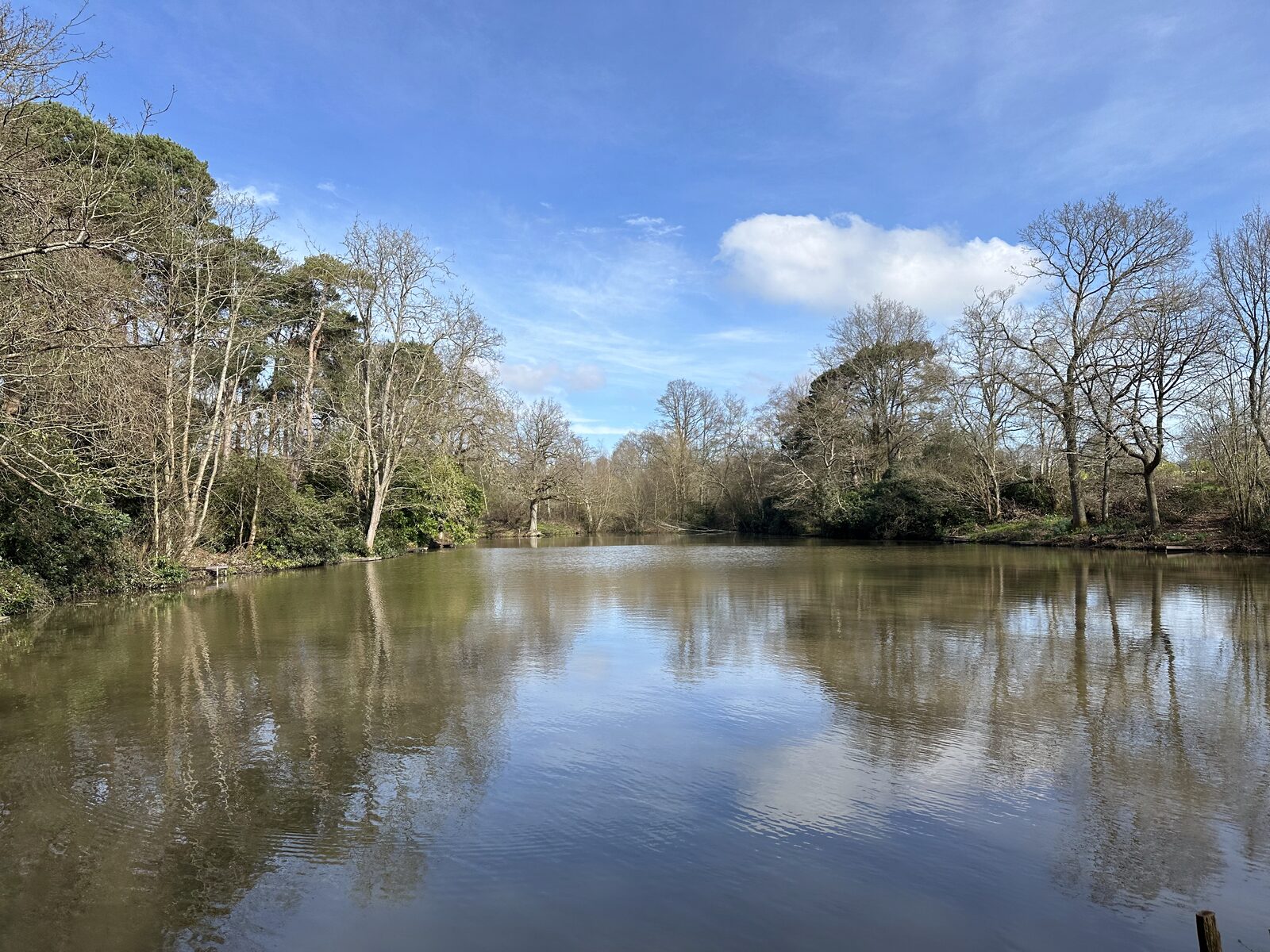 Bay Pond Shaw in winter — clear blue sky, crisp reflections in the still water, the ancient hammer pond in a season without leaves.