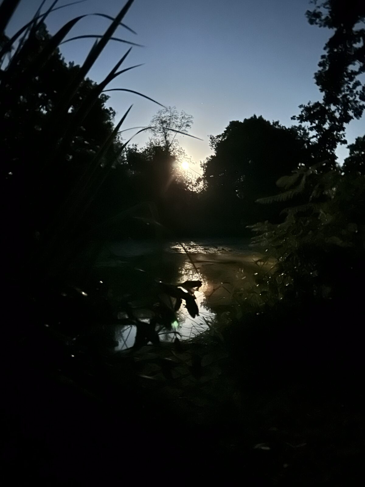 Bay Pond Shaw at night — the water corridor in near-darkness, the estate after dark exactly as it has been for centuries.