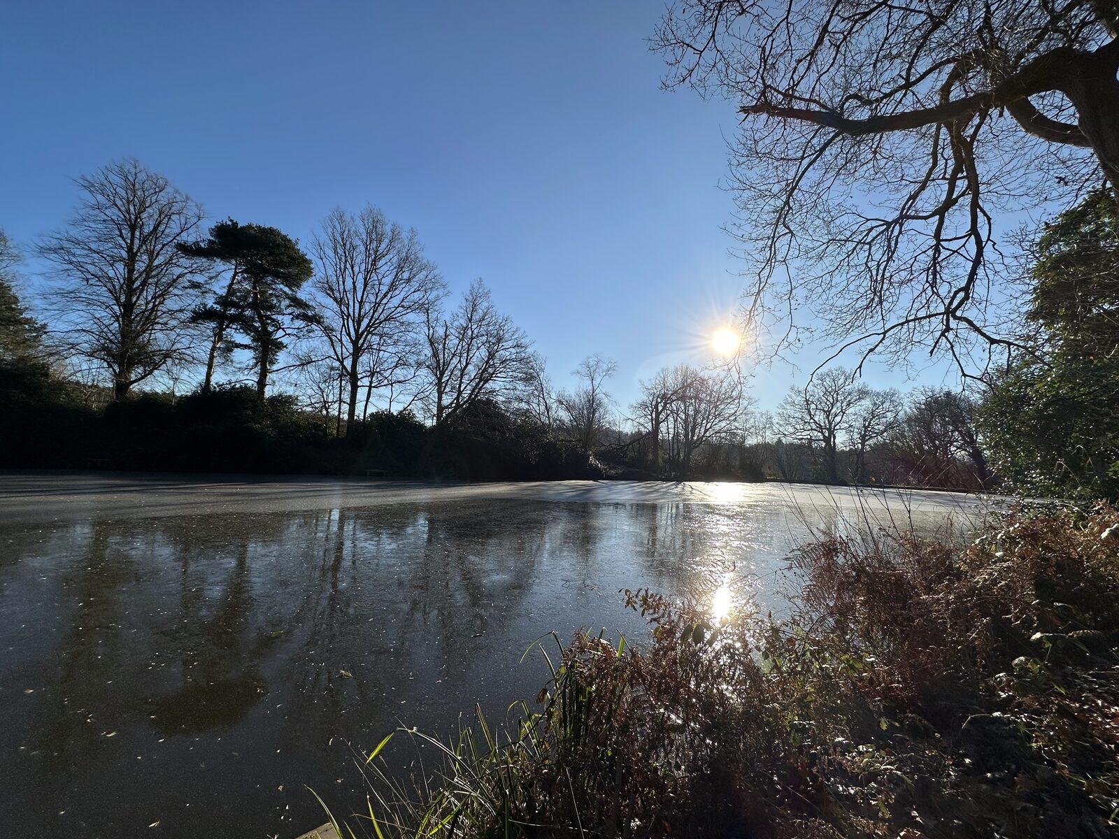 Bay Pond Shaw hammer pond frozen in winter sunlight — the ancient water body locked in ice, ancient woodland reflected in the white surface.