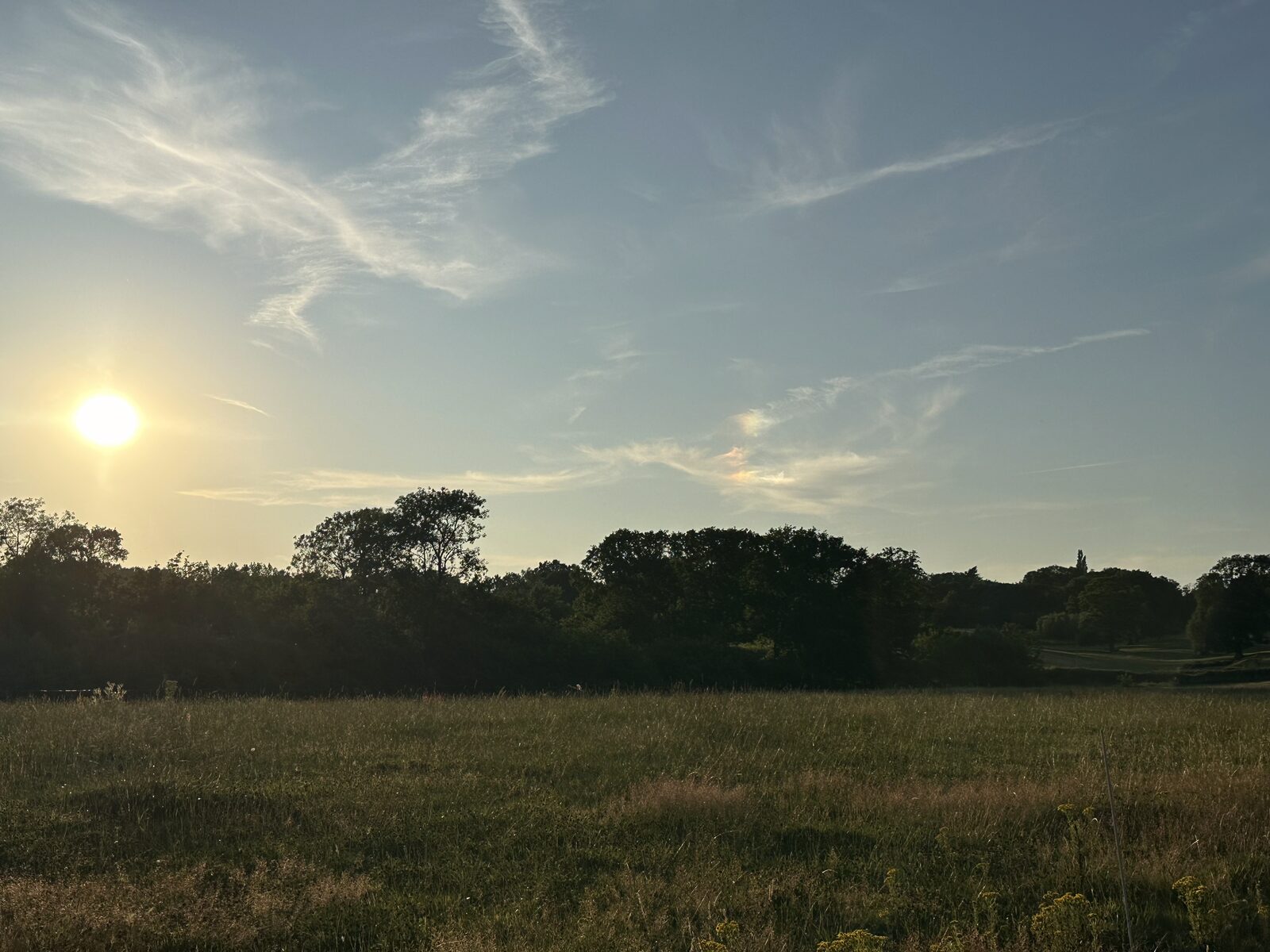 Bay Pond Shaw wildflower meadow at sunset — the 5.5-acre Back Meadow silhouetted against golden sky, available for day hire.