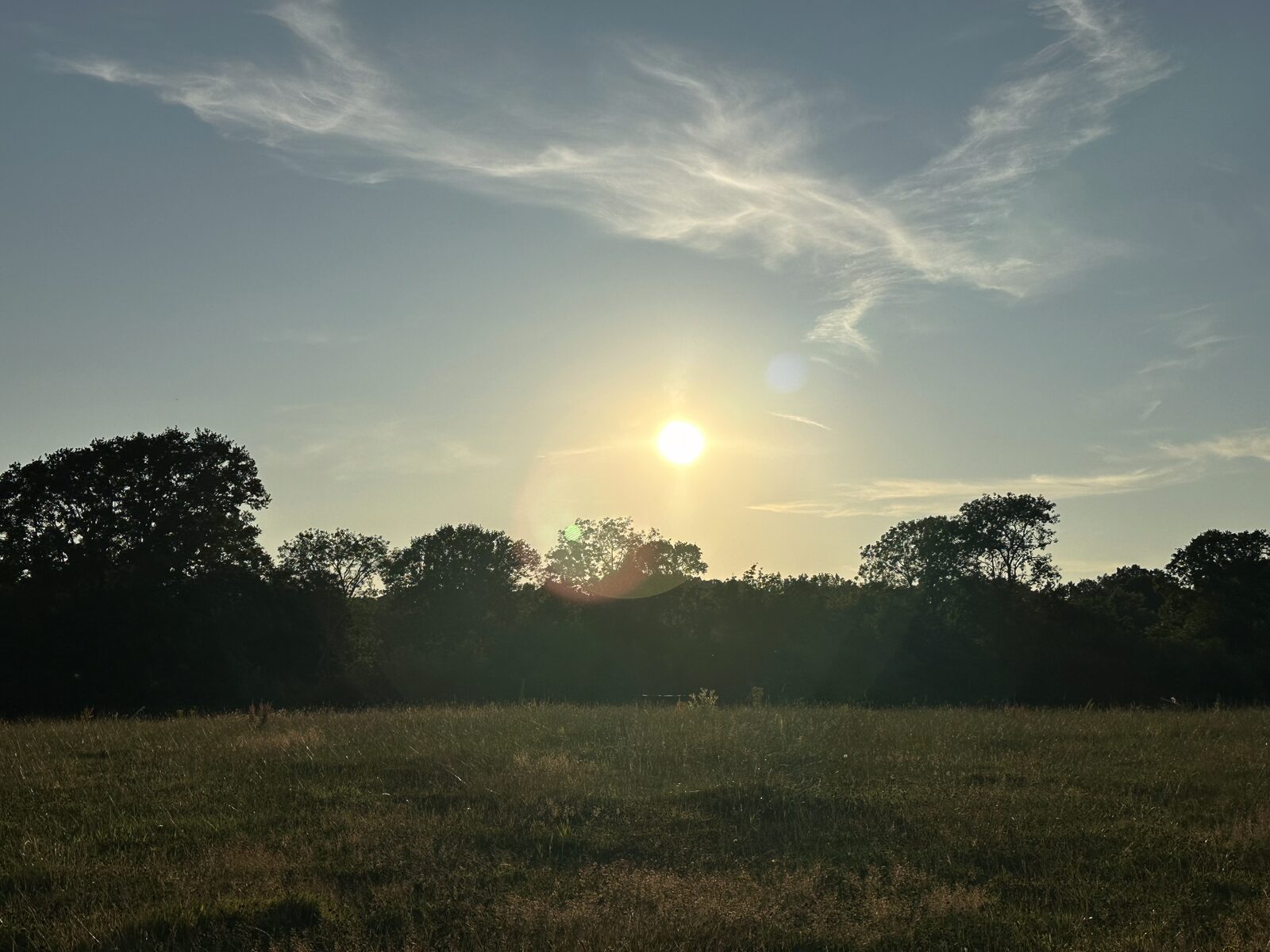 The open back meadow at Bay Pond Shaw — 5.5 acres of private High Weald grassland for exclusive corporate day hire.