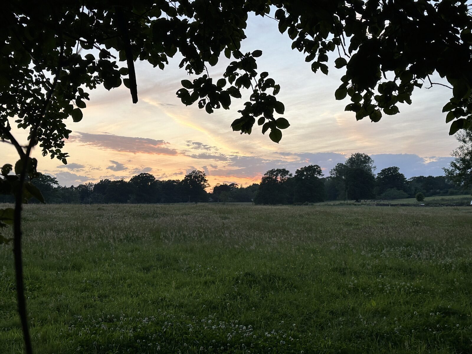 The meadow at Bay Pond Shaw at golden hour, framed by overhanging trees &mdash; an extraordinary setting for private celebrations and milestone occasions.